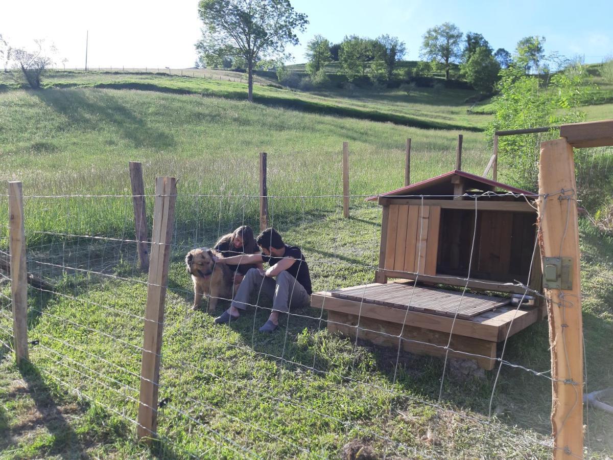 Eguzkitze Alojamiento Rural Abaltzisketa Exterior foto