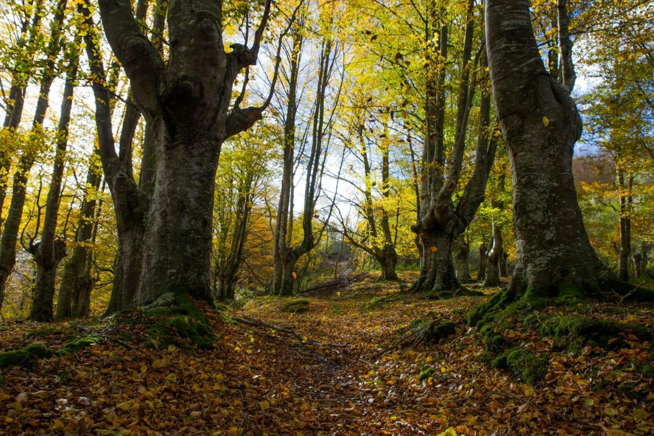 Eguzkitze Alojamiento Rural Abaltzisketa Exterior foto