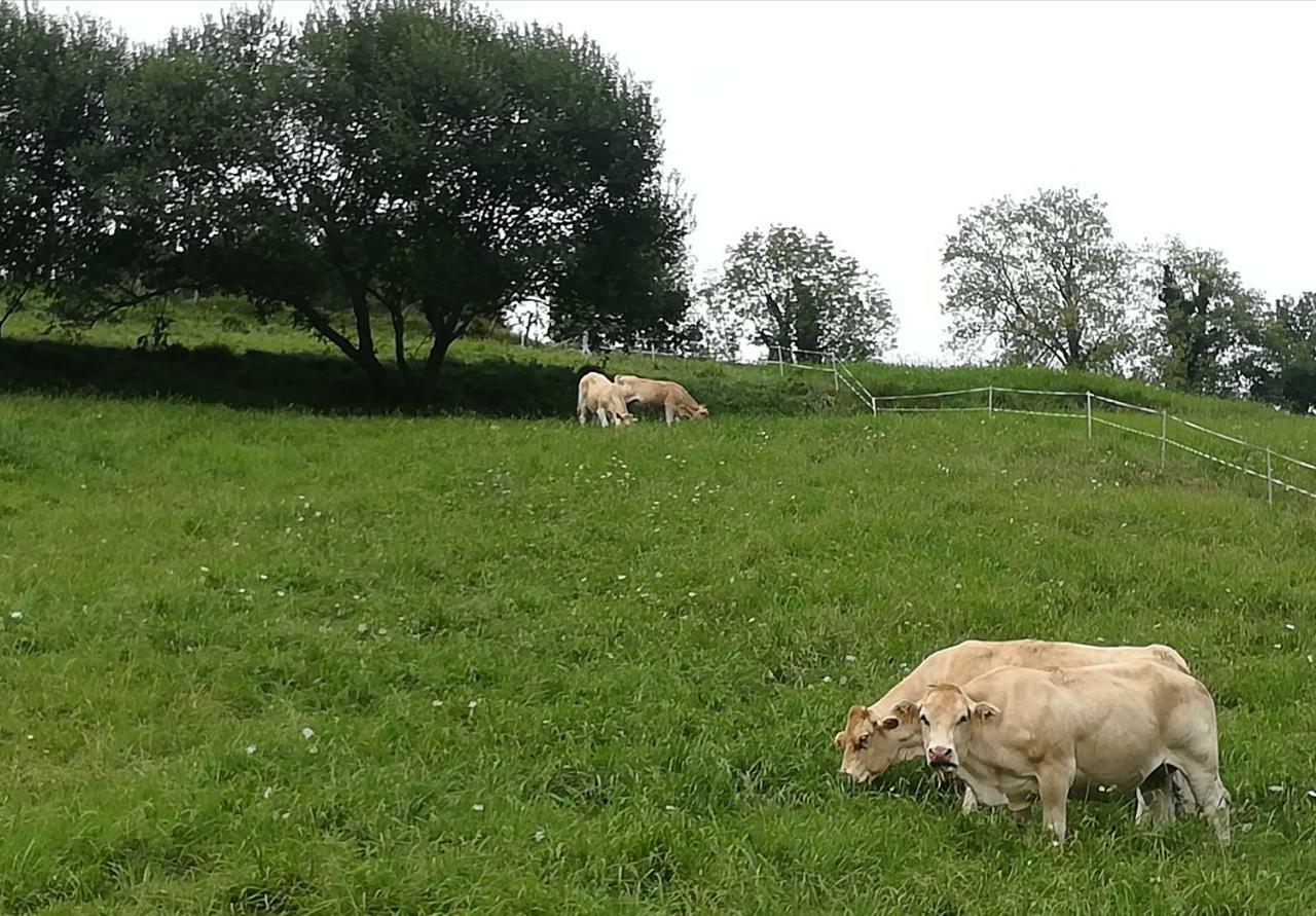 Eguzkitze Alojamiento Rural Abaltzisketa Exterior foto
